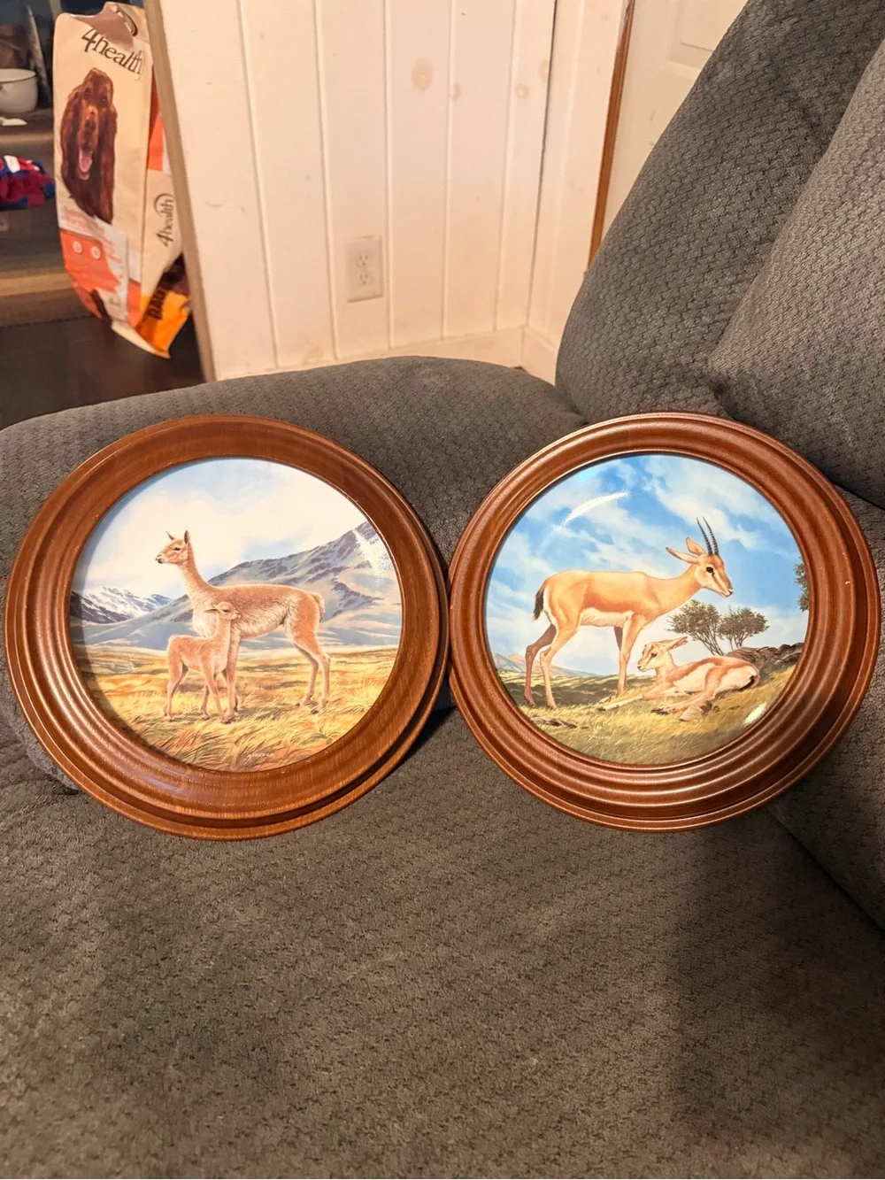 Wildlife Decorative Wall Plates - Brown Frame, Antelope Scene